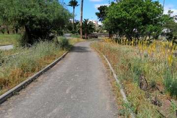 Abandono del Parque de las Mil Palmeras del Valle de Jinámar/TA.